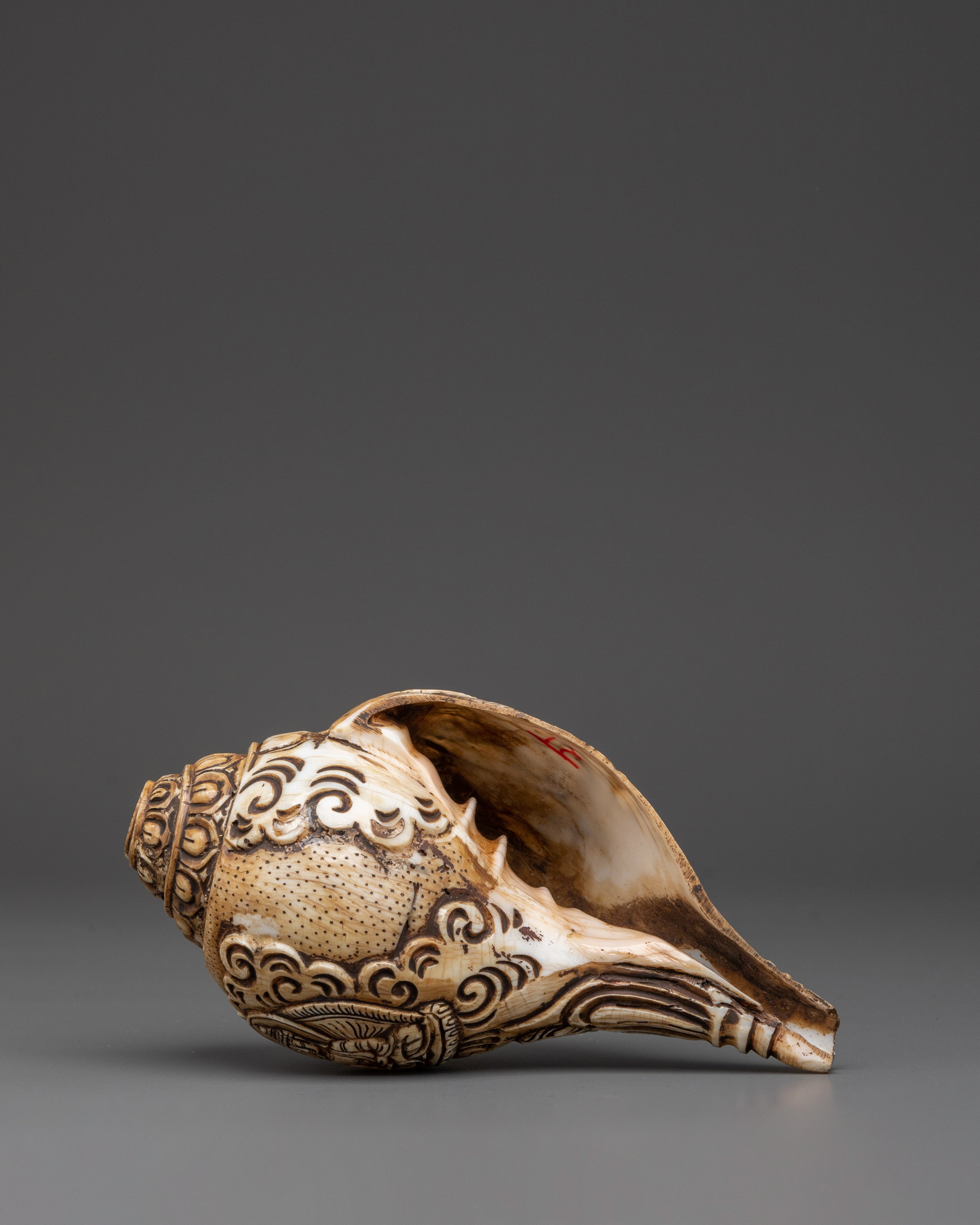 Dung-Dkar with Chenrezig Carving | Sacred Sound for Rituals