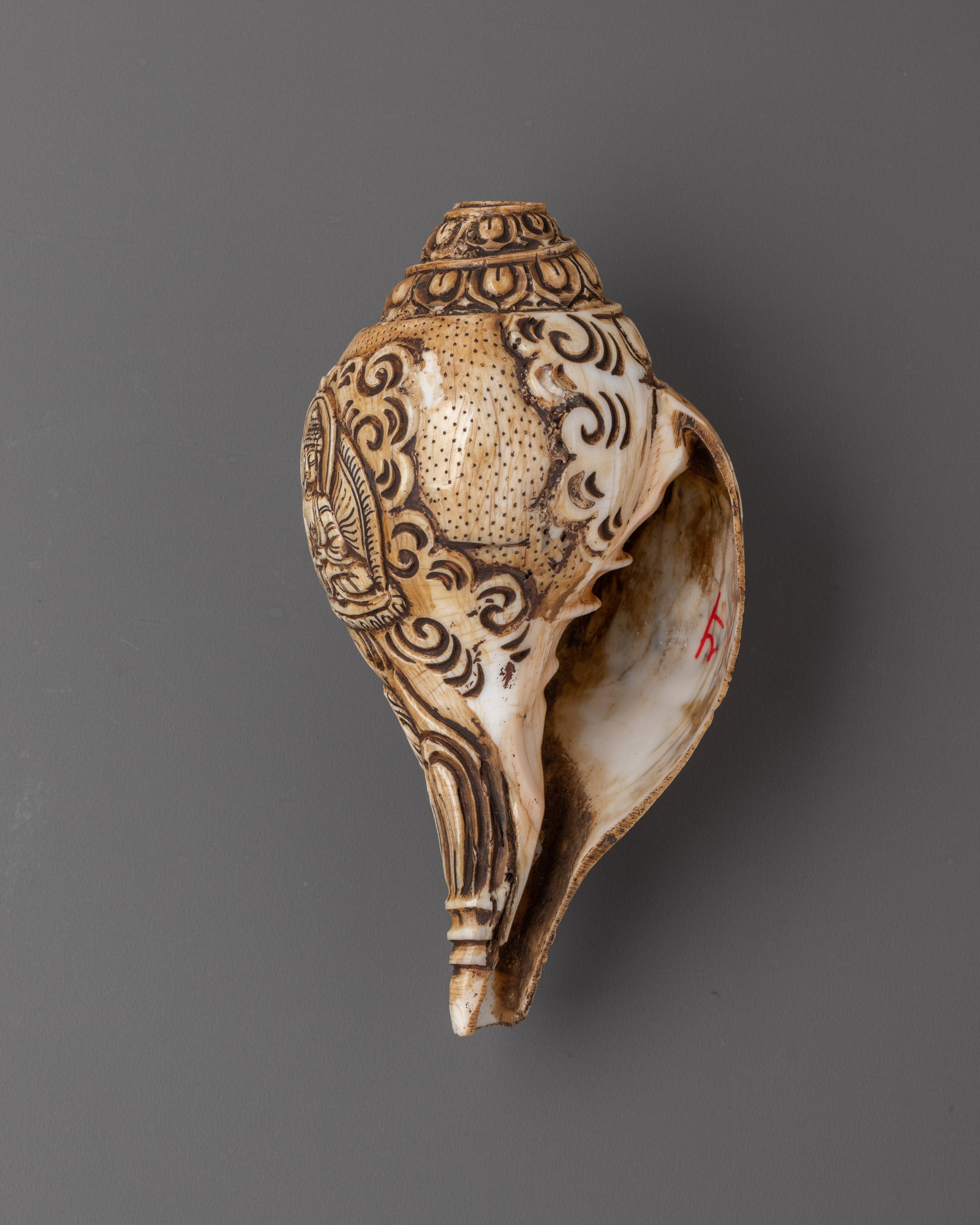 Dung-Dkar with Chenrezig Carving | Sacred Sound for Rituals