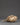 Three Dhyani Buddha and White Tara Carved Conch | Conch Shell