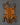hand-knotted-tiger-designed-rug