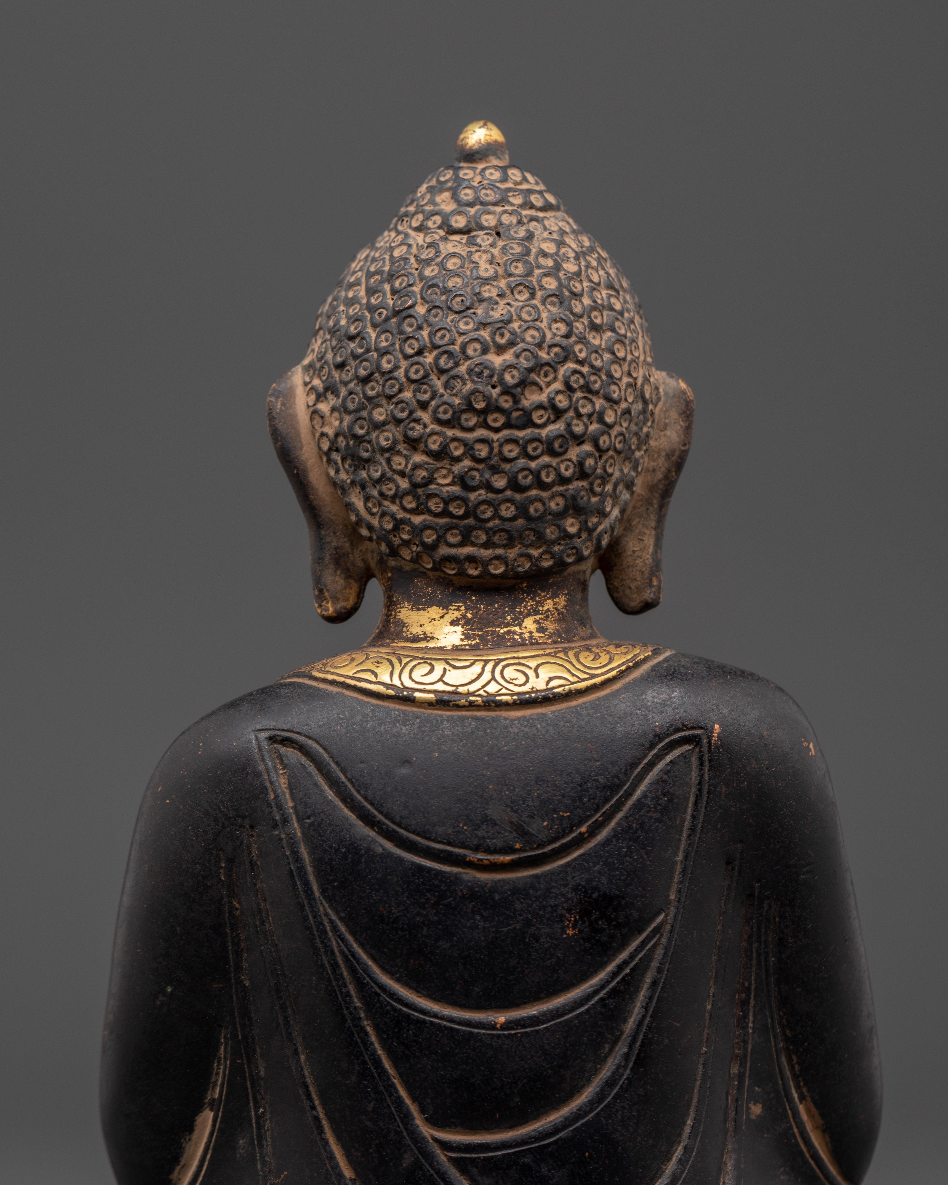 Compassion Deity Amitabha Buddha | Symbol of Healing and Divine Light