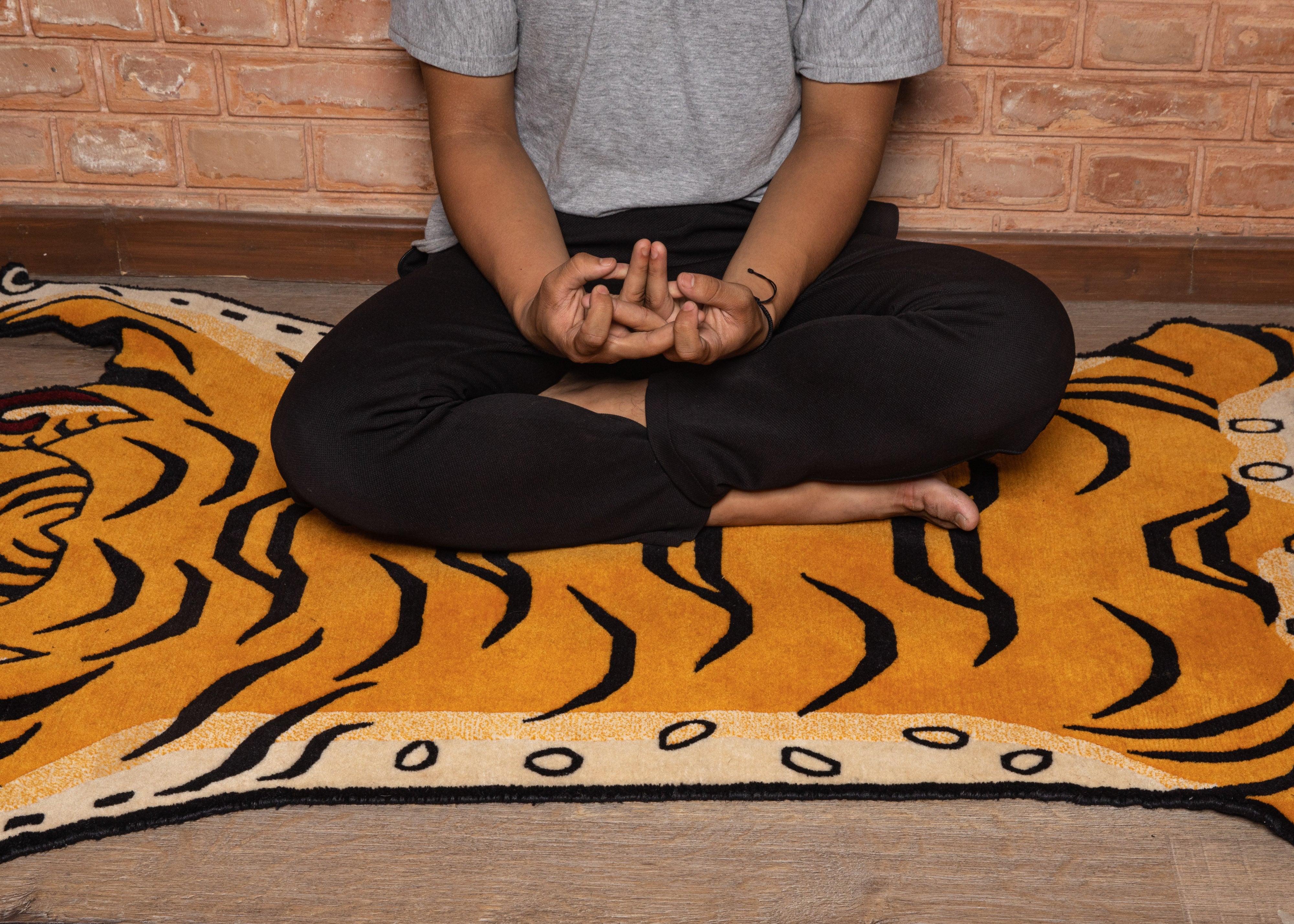 Tiger Rug for Home Decor | Tibetan Wool Rug
