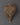 Carved Conch Shell with Buddhist Deity | Spiritual Buddhist Decor