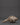 Tibetan Ritual Conch for Buddhist Altar | Chenrezig Carved Conch