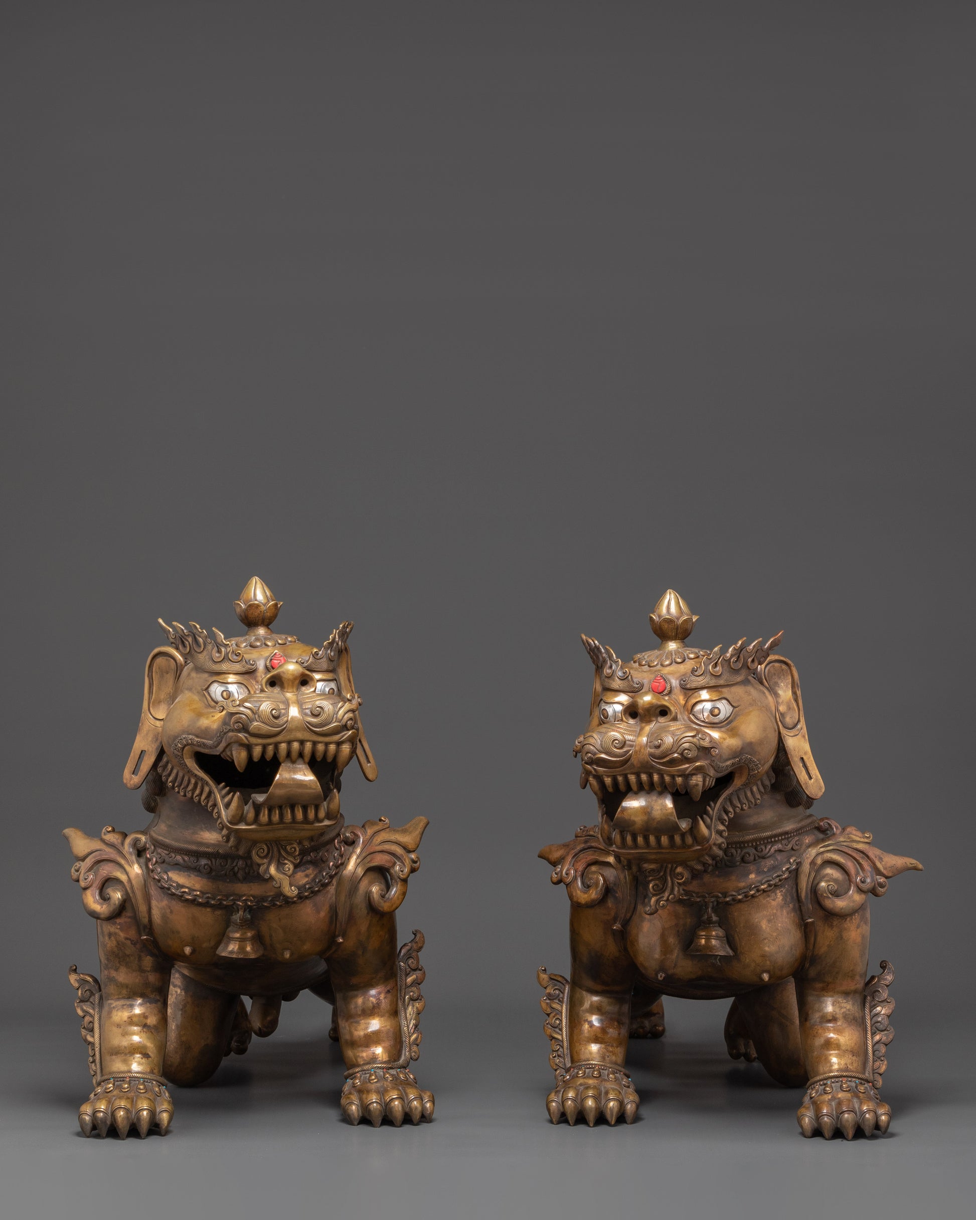 Lion Set