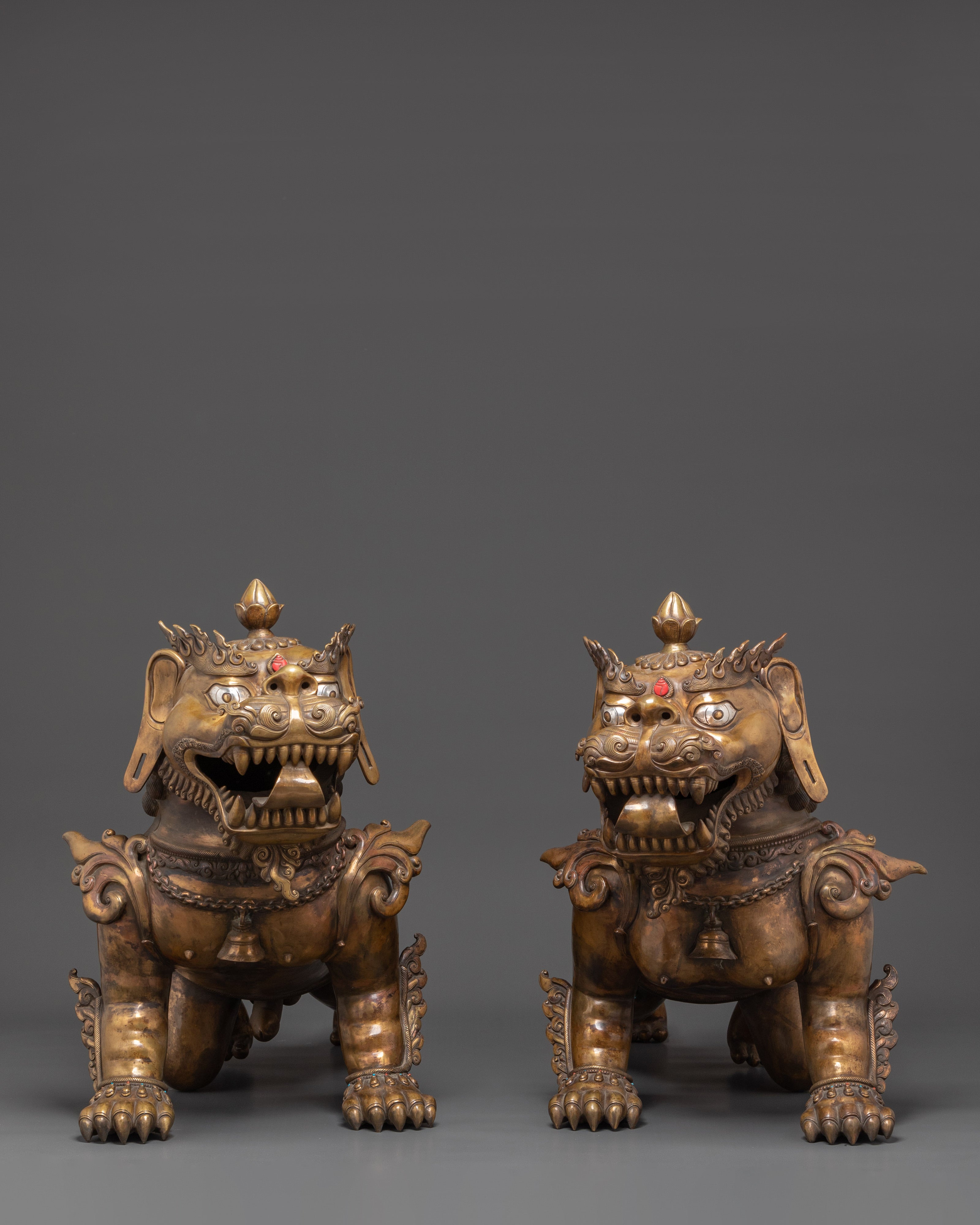 Lion Set