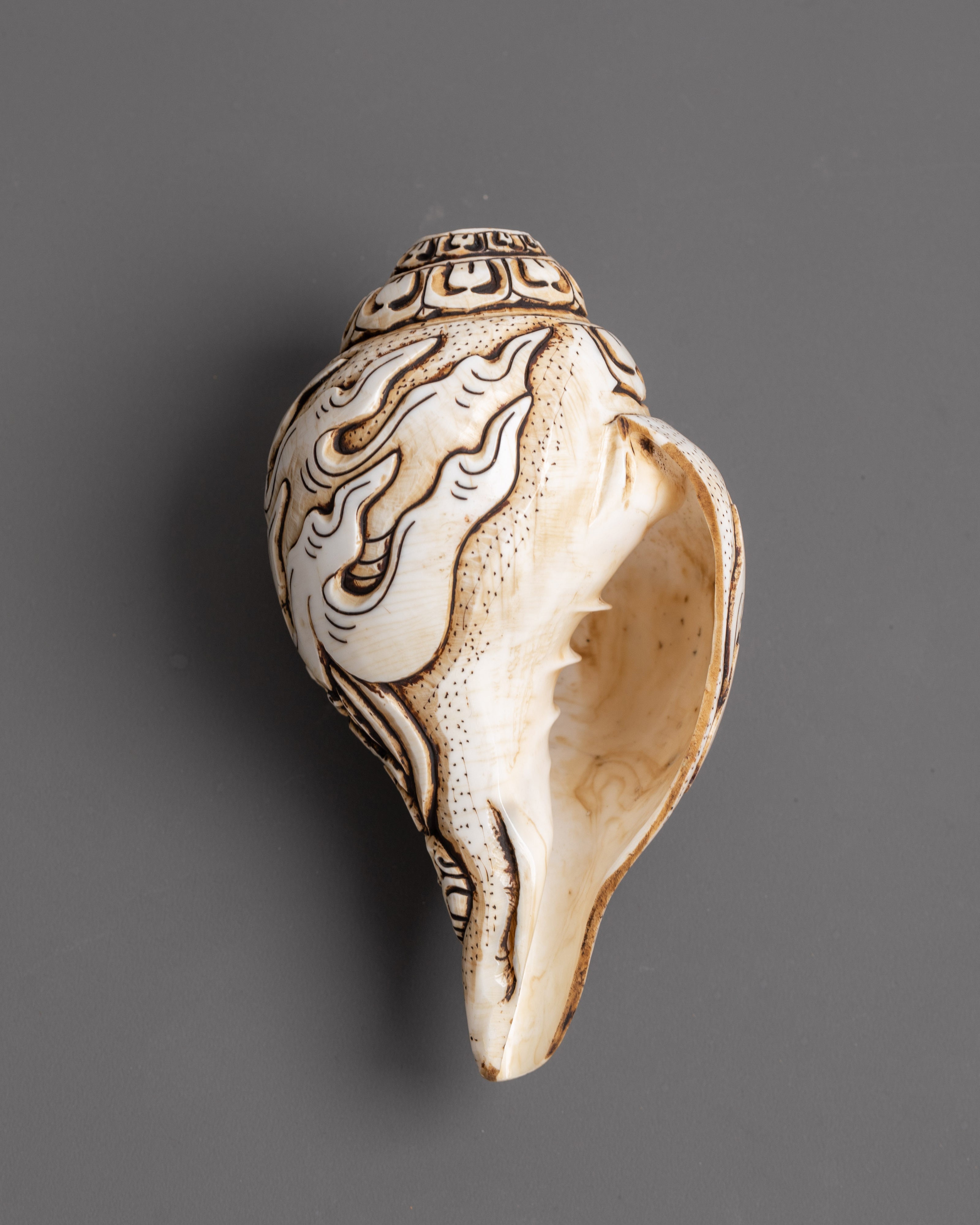 Hand Craved Six Armed Mahakala Conch | Symbol of Wisdom