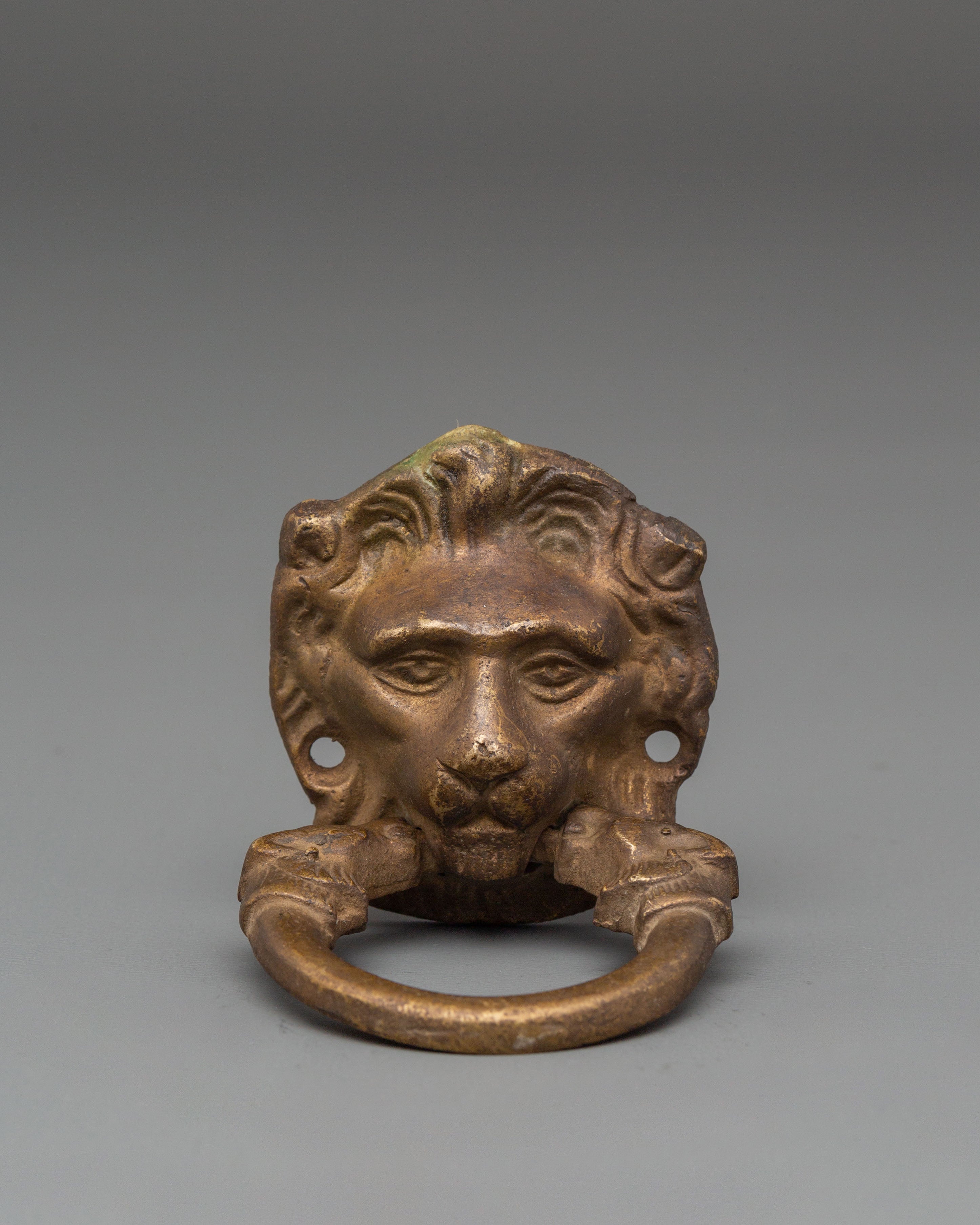 Lion Motif Door Knocker | Symbol of Strength