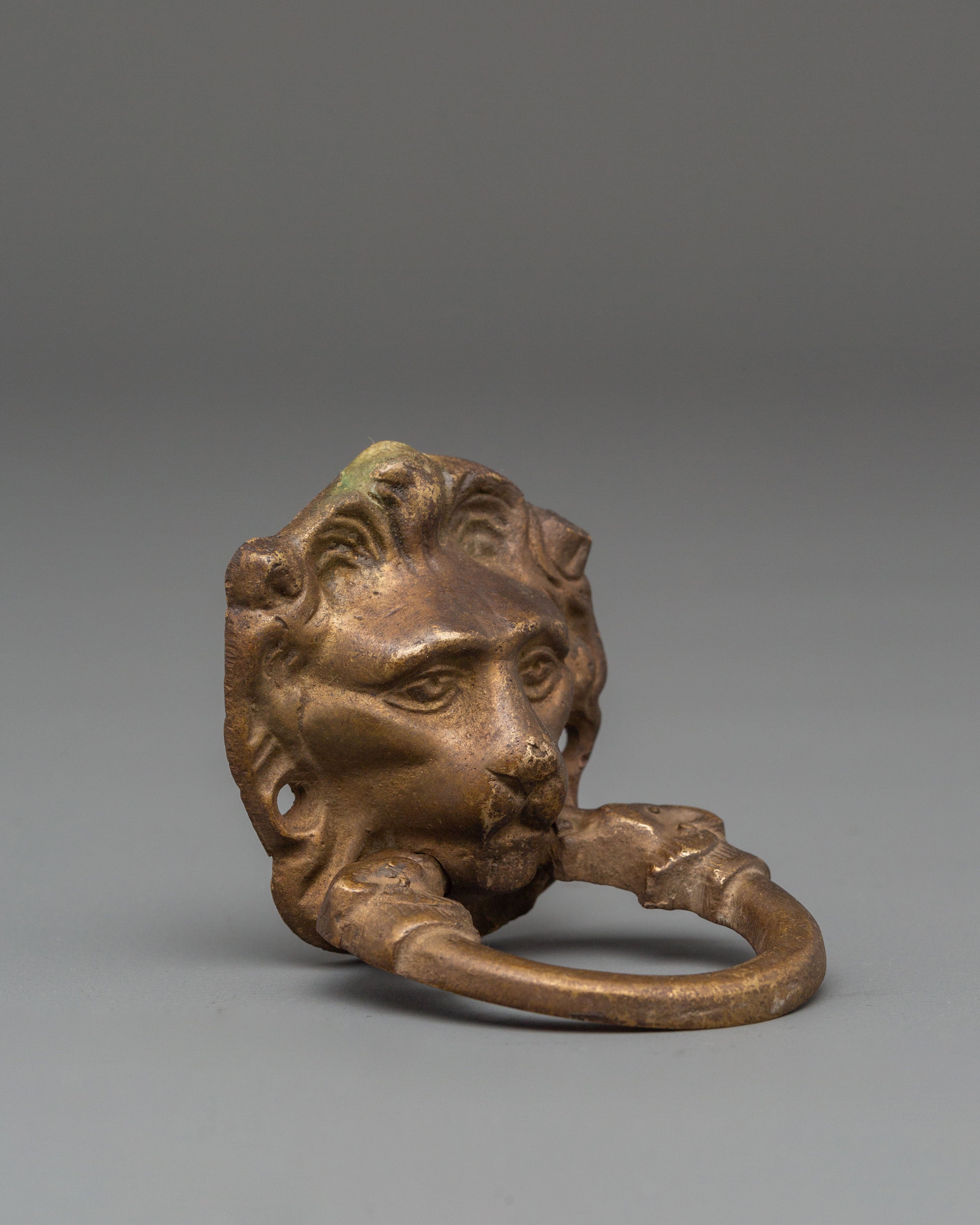 Lion Motif Door Knocker | Symbol of Strength