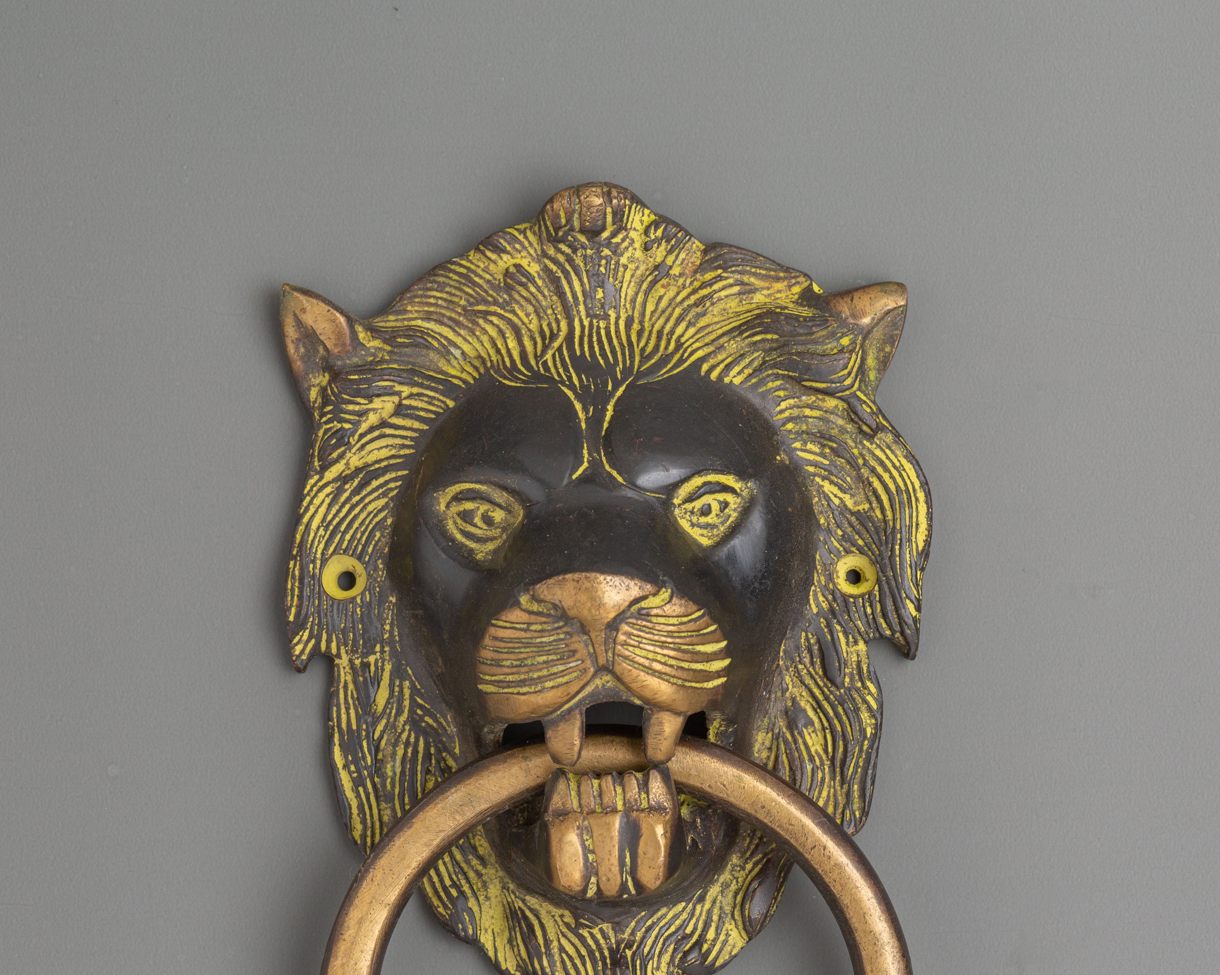 Protective Lion Head Door Knocker | Traditional Home Decor