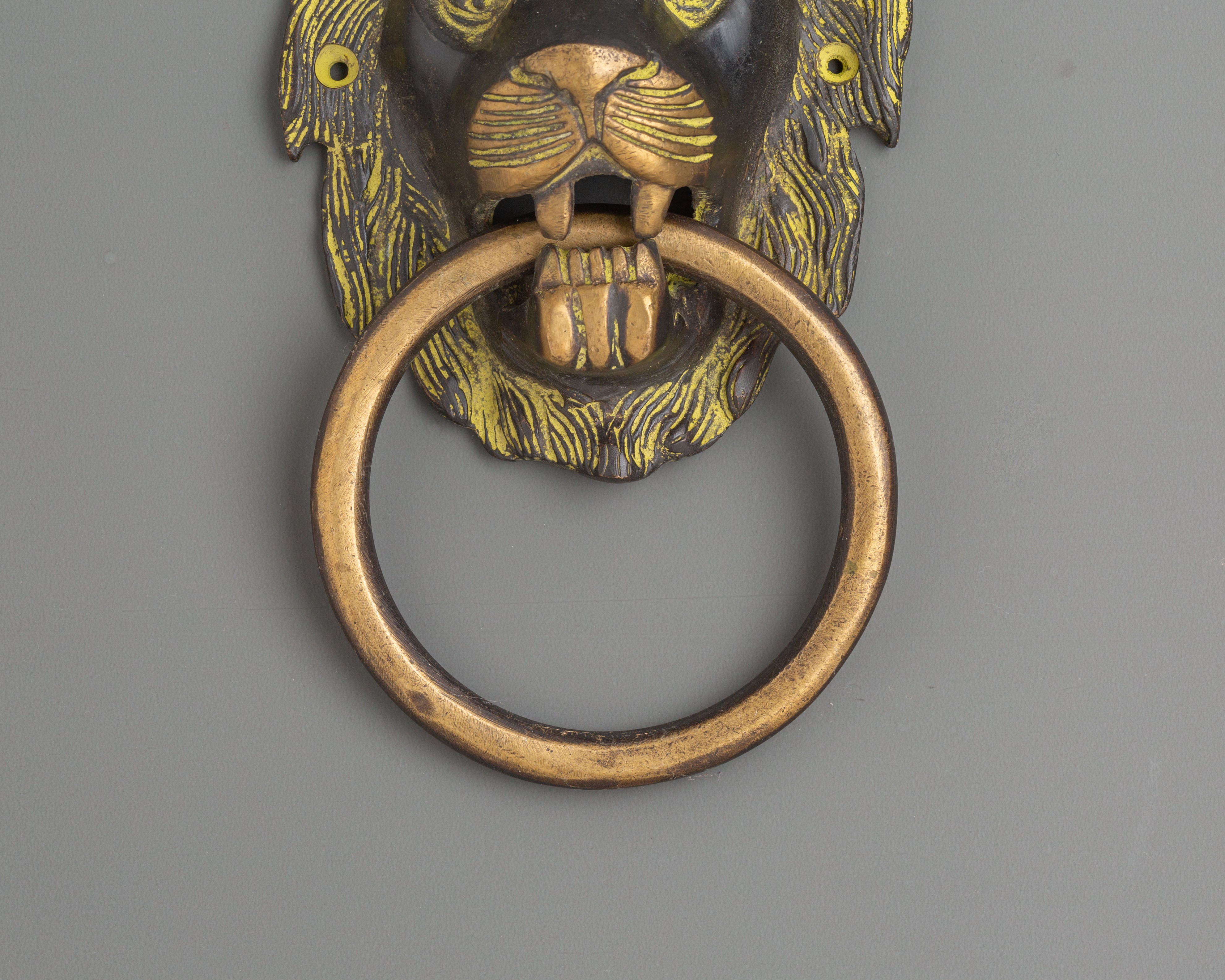Protective Lion Head Door Knocker | Traditional Home Decor