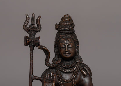 Statue of Lord Shiva | Divine Representation of the Hindu Deity