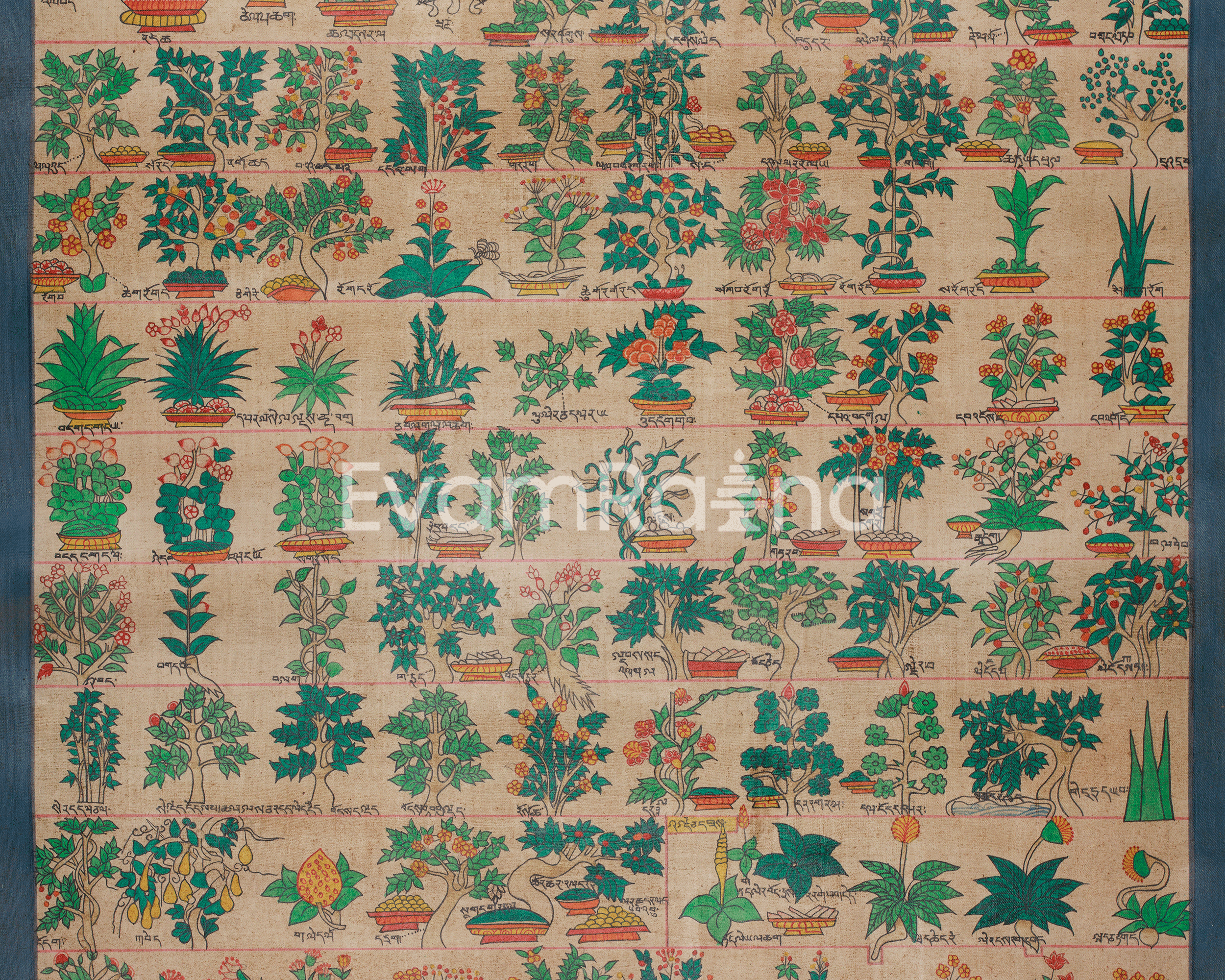 Himalayan Medical Plants Thangka | Symbolizing Natural Medicine, Spiritual Wellness, and Herbal Protection | Nature's Sacred Gifts