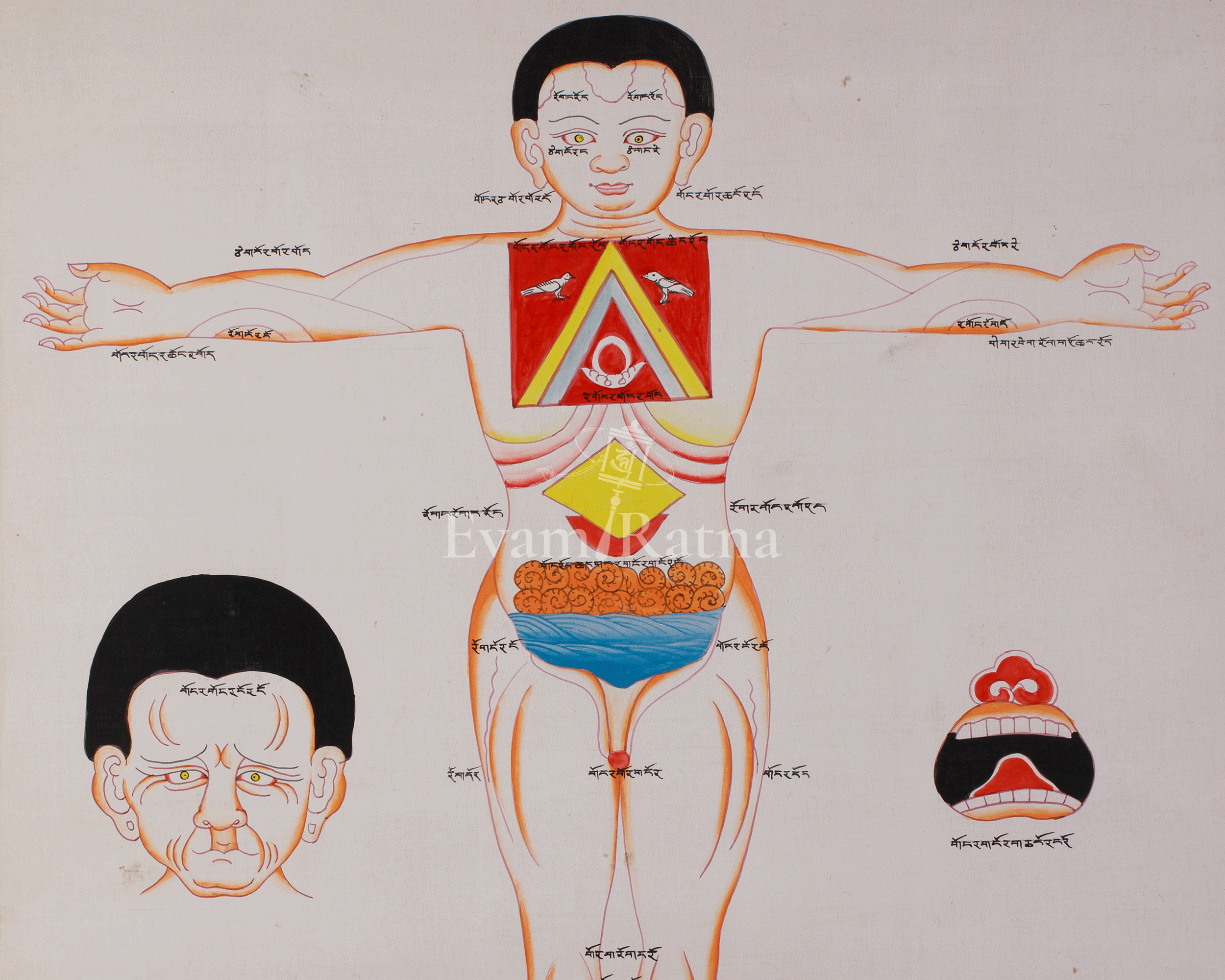 Sacred Human Anatomy Art | Hand-Painted Artwork For Decor