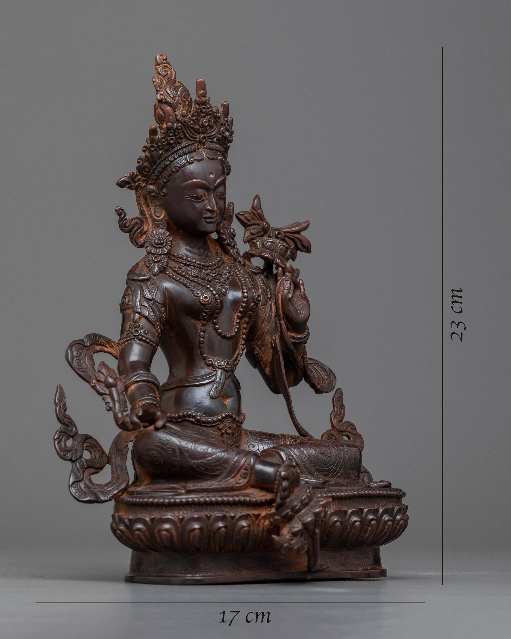 Hamsvara Nadini Tara