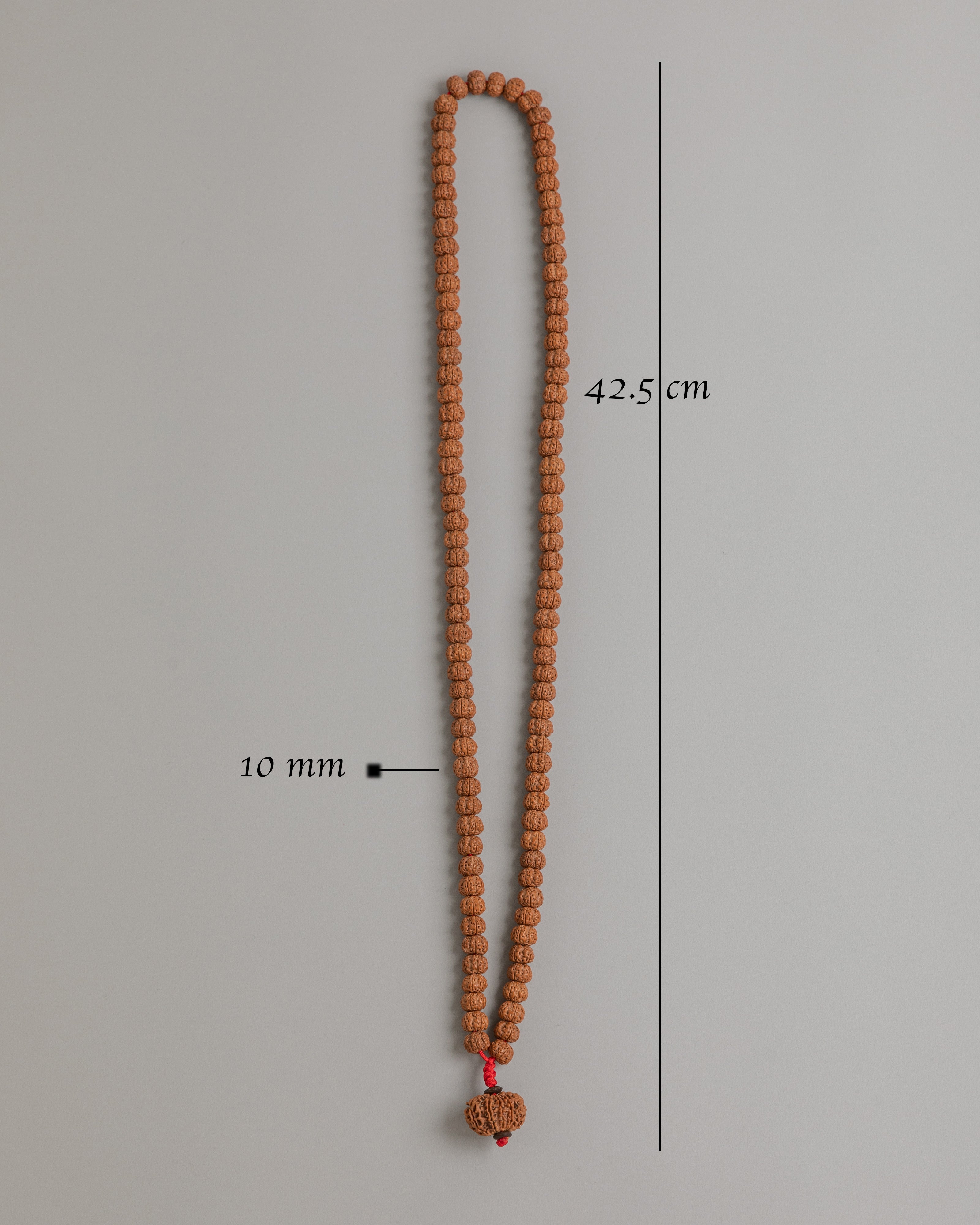 Tibetan Mala Beads for Prayer | Rudraksha Beads
