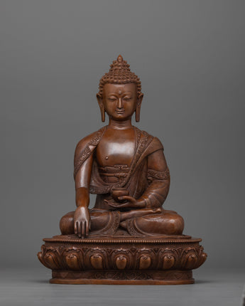 the-buddha-teacher