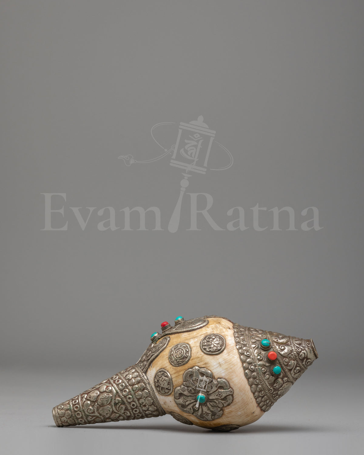 Sacred Dharma Conch Shell 