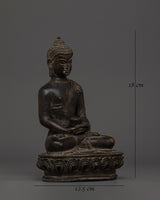 buddha-of-eternal-life-amitabha-buddha