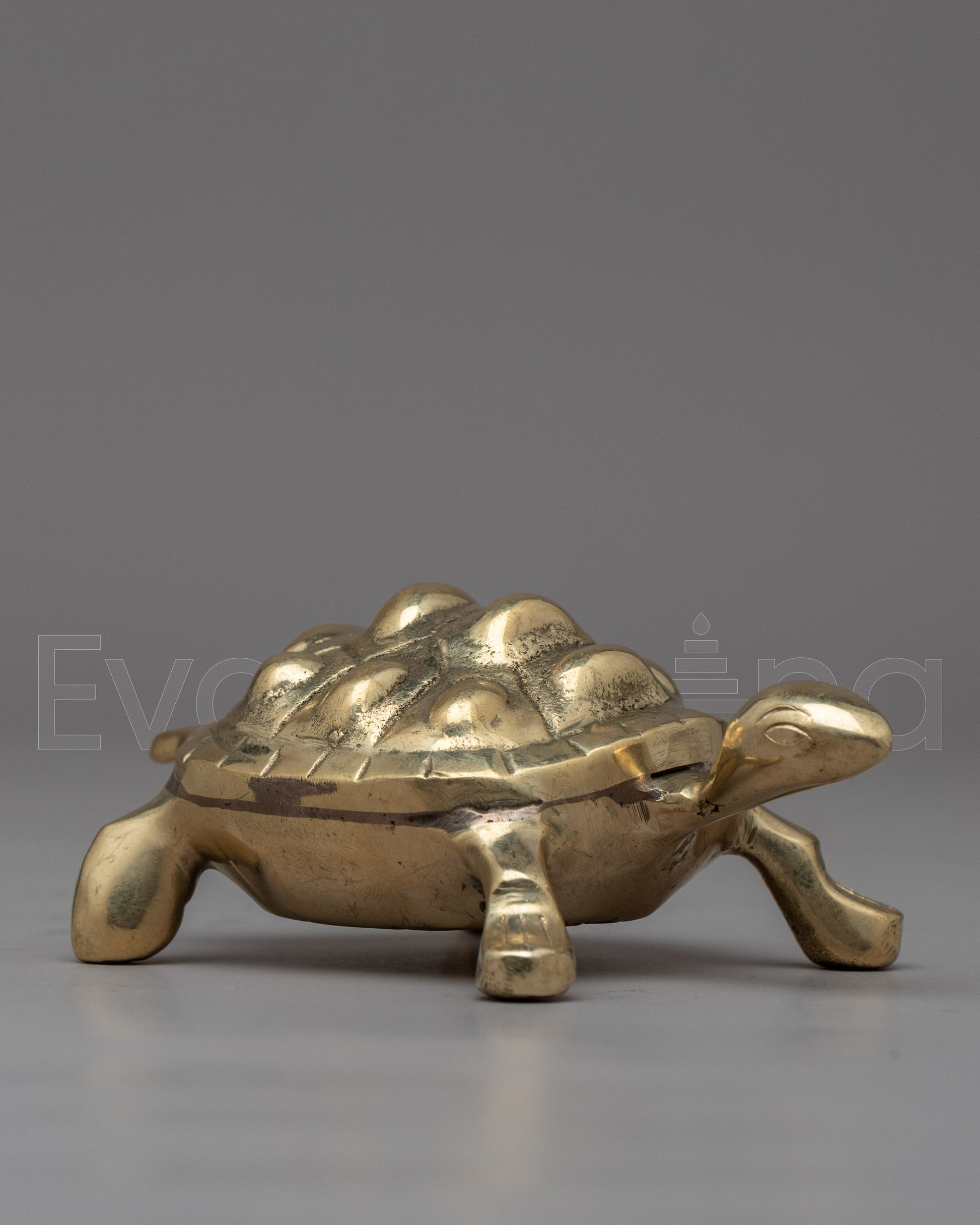 Brass Turtle