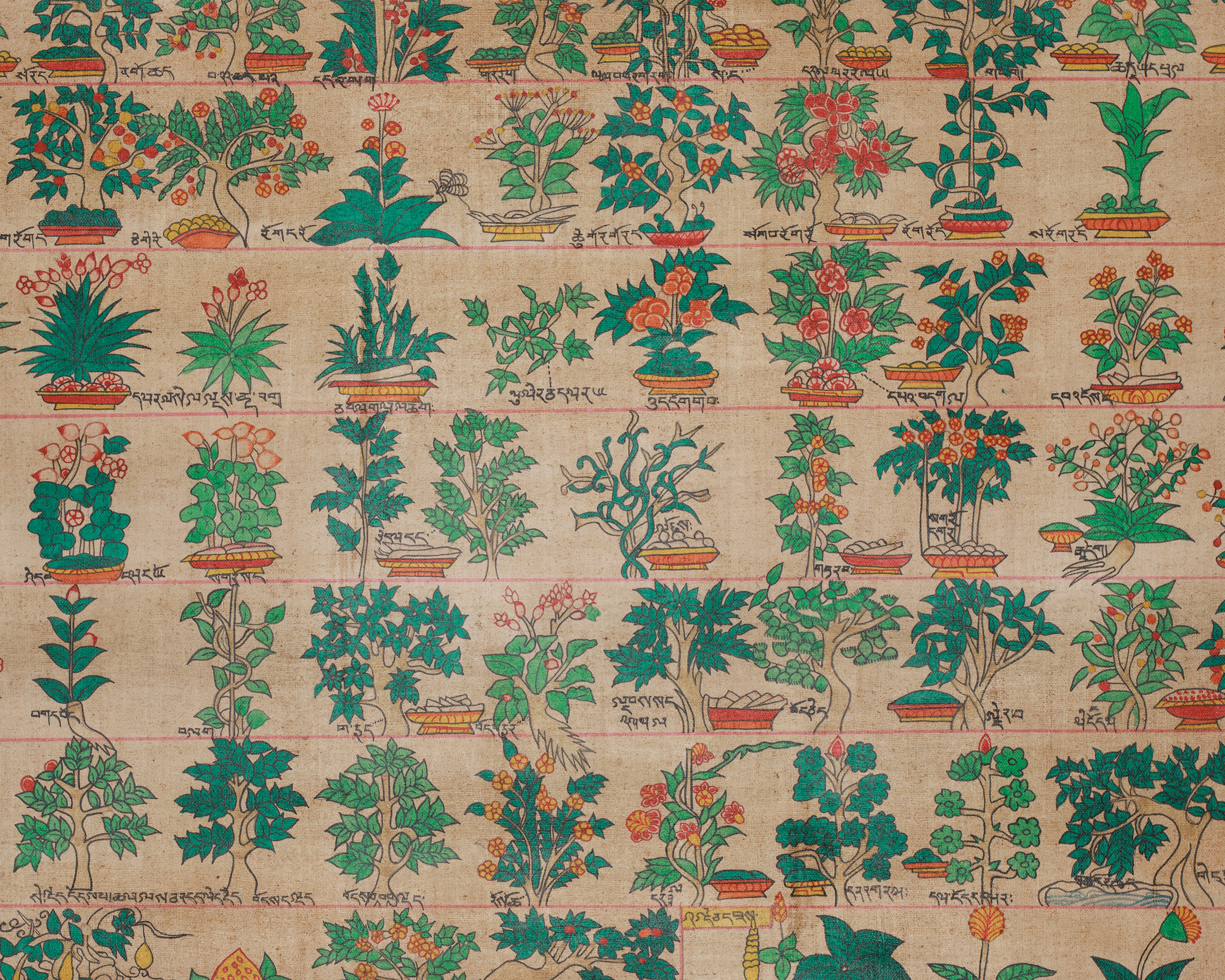 Himalayan Medical Plants Thangka | Symbolizing Natural Medicine, Spiritual Wellness, and Herbal Protection | Nature's Sacred Gifts