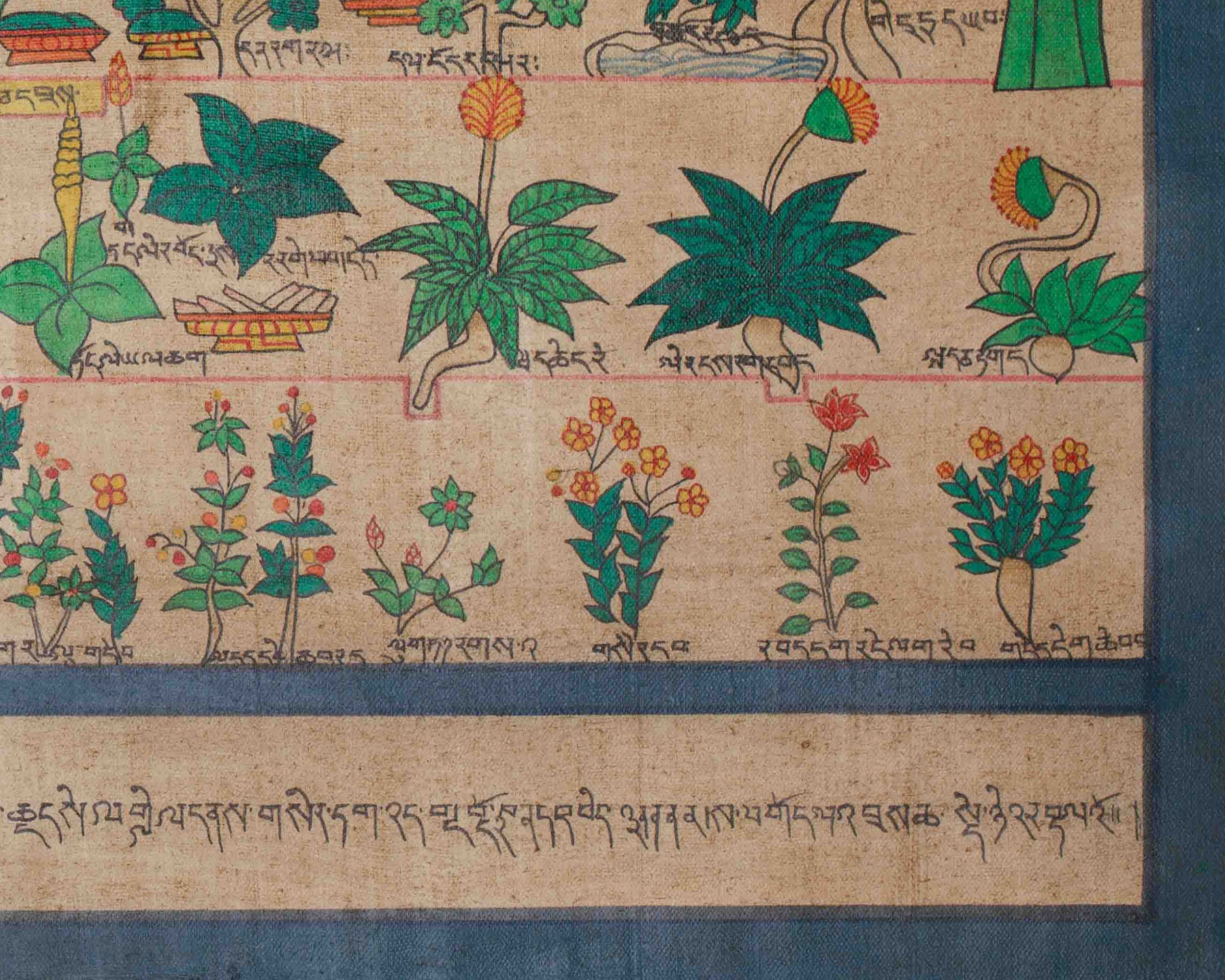 Himalayan Medical Plants Thangka | Symbolizing Natural Medicine, Spiritual Wellness, and Herbal Protection | Nature's Sacred Gifts