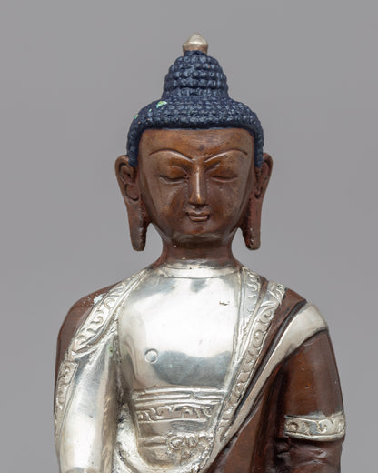 Seated Shakyamuni Buddha Statue | Seated Shakyamuni Buddha