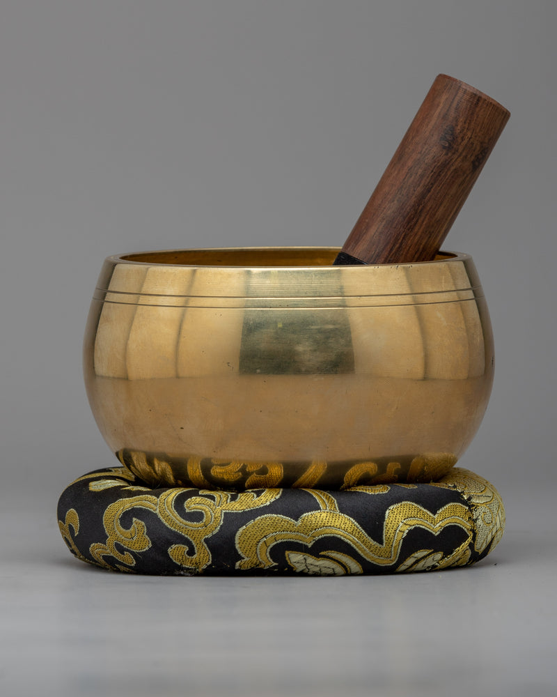 Singing Bowls for Meditation and Inner Peace, Harmonize Your Mind