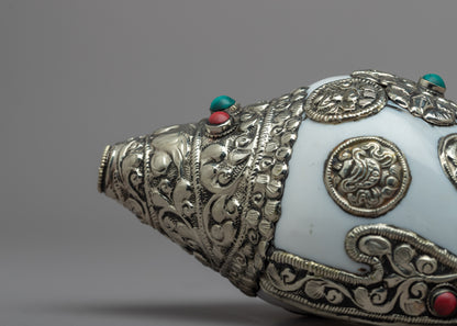 White Conch Shell | Auspicious Symbol Carved Sankha For Ritual Purpose