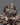 sacred-hayagriva-with-consort
