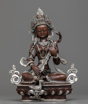 arya saraswati 