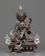 arya saraswati 