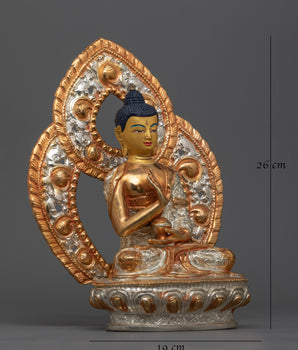 Amoga Siddhi Silver Plated Statue