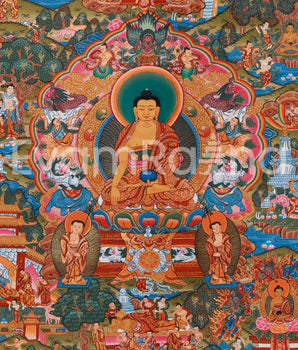 Sacred Buddha's Life Story | From Prince Siddhartha to Enlightened Buddha
