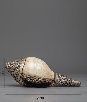 Concha Shell | Enhance Your Style with Sankha