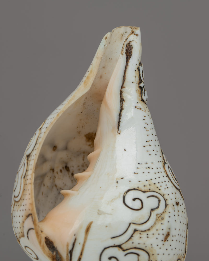 Handcraved Ritual Shankha | Sacred Conch Shell for Ceremonies