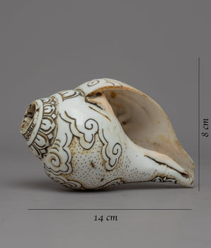 Handcraved Ritual Shankha | Sacred Conch Shell for Ceremonies