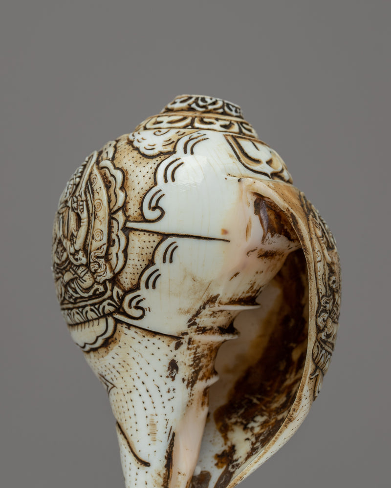 Buddha Shankha Conch Shell | Sacred Symbolizing Enlightenment and Spiritual Awakening