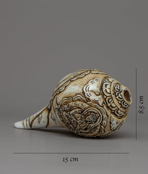 Buddha Shankha Conch Shell | Sacred Symbolizing Enlightenment and Spiritual Awakening