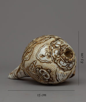 Handcarved Conch Shell Sankha | Blowing Sankha for Sound Healing