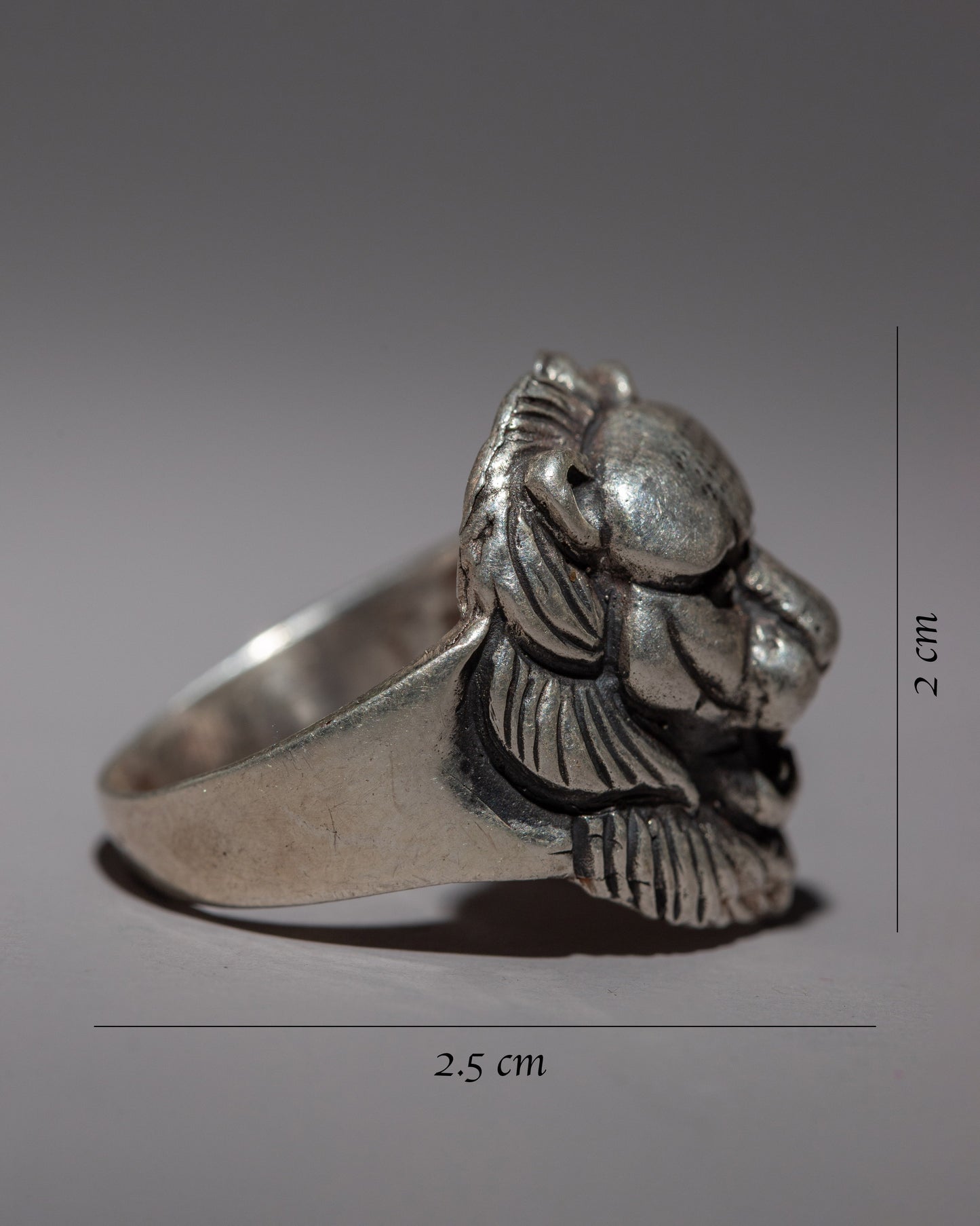 Silver Lion Ring | Adjustable Ring for Fashion Accessory