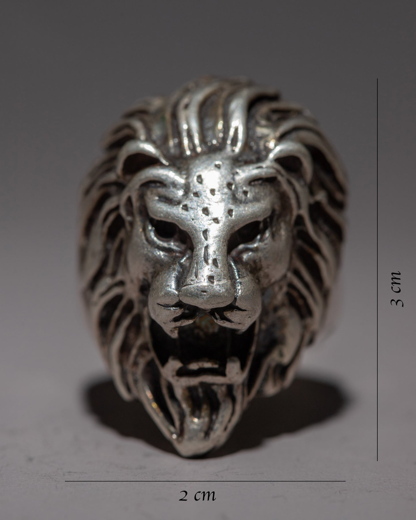 Lion Head Silver Ring | Roaring Style for Men and Wo