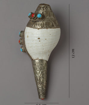 Natural Conch Sankha | Echoing the Sounds of Spirituality & Meditation