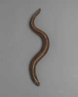 Copper Eel