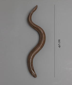 Copper Eel | Bringing Marine Inspiration to Your Space