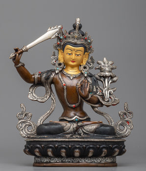 8.6inch manjushri