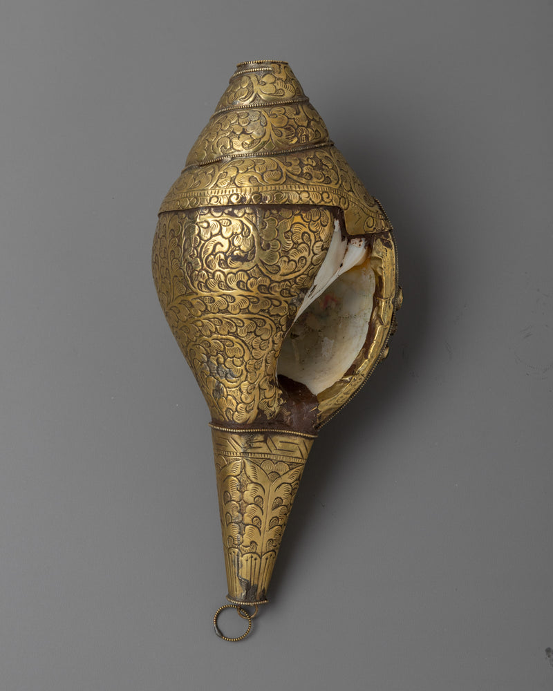 Brass Conch Shell