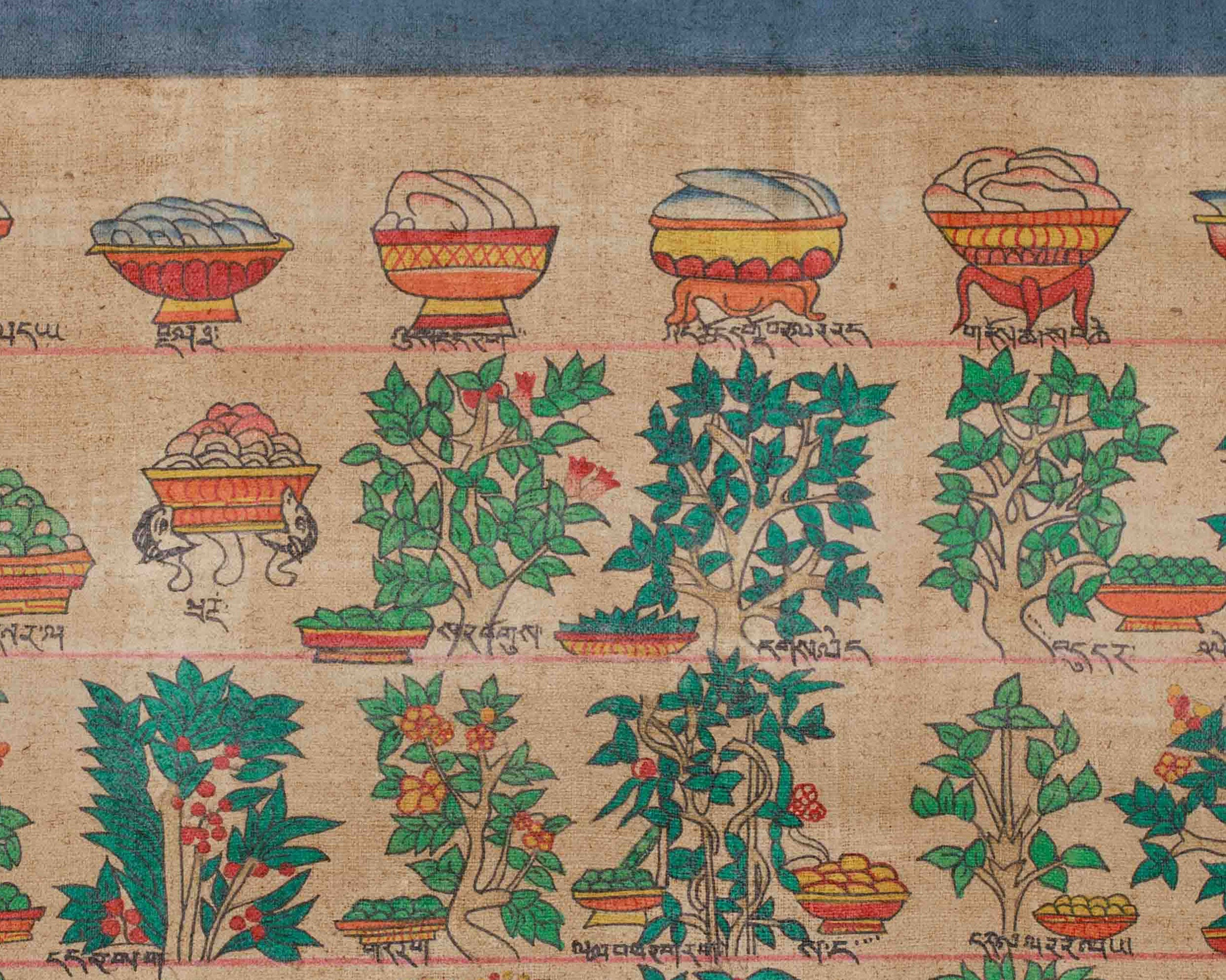 Himalayan Medical Plants Thangka | Symbolizing Natural Medicine, Spiritual Wellness, and Herbal Protection | Nature's Sacred Gifts