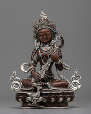 mata-saraswati