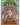 Mother of All Buddhas, White Tara Thangka